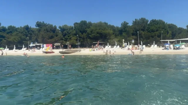 Letovanje u Fažani - pogled na plažu i borovu šumu sa mora